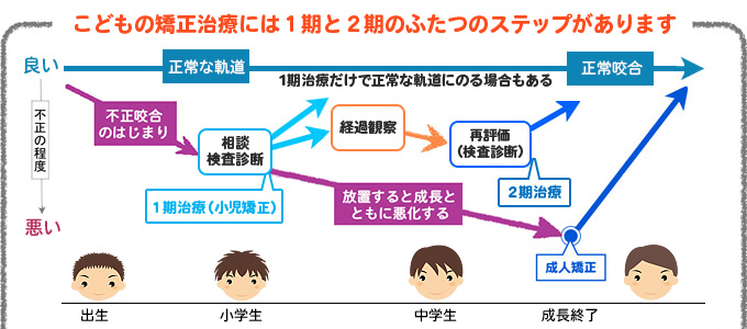 こどもの矯正治療には1期と2期のふたつのステップがあります